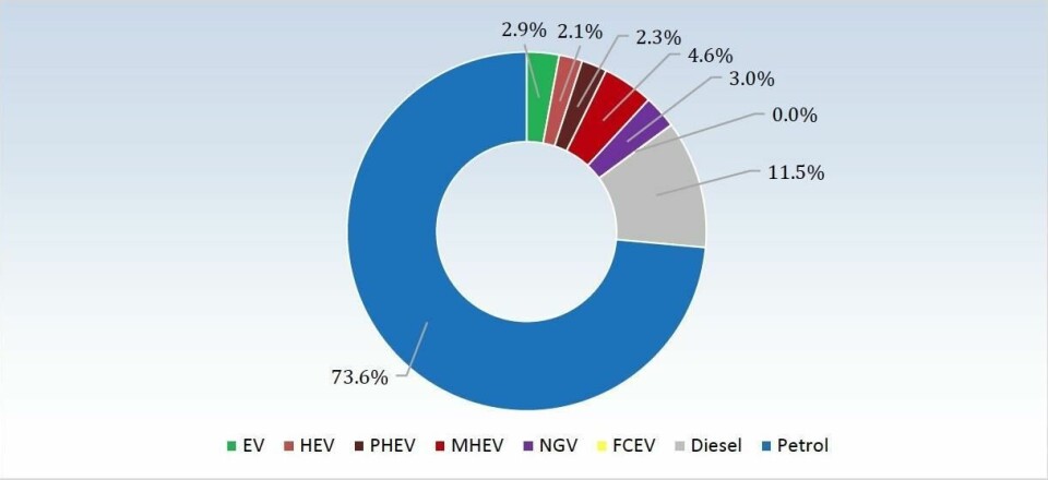 Global powertrain share by type 2020Download the report to view more than 30 graphs and charts Powertrain forecast by type
