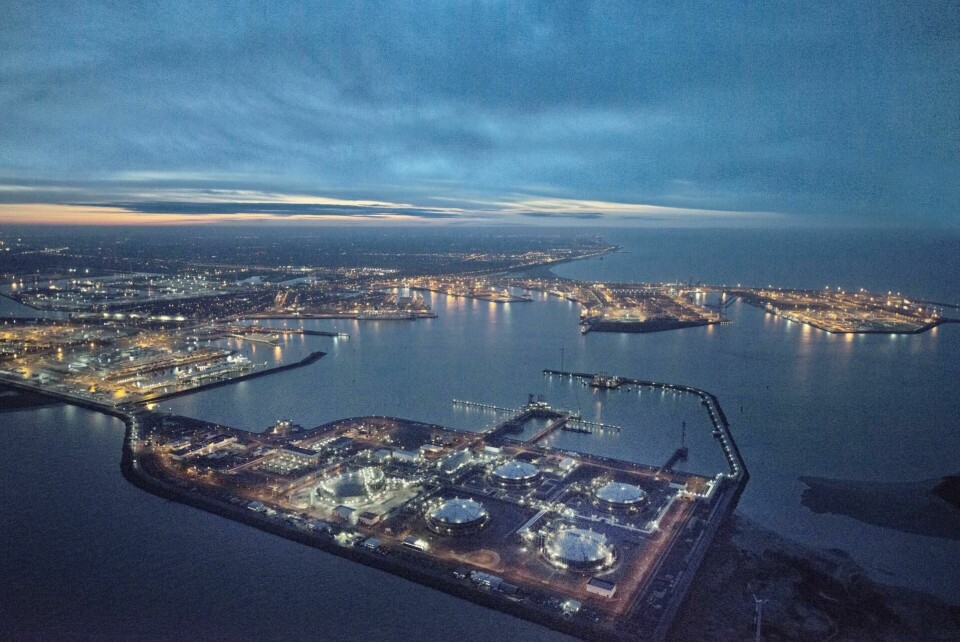 Zeebrugge remains busiest European vehicle handling port Zeebrugge_night