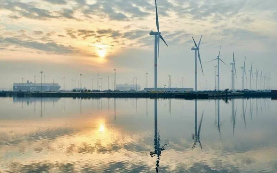 Sustainable priorities at Europe’s vehicle ports Sustainable_Zeebrugge