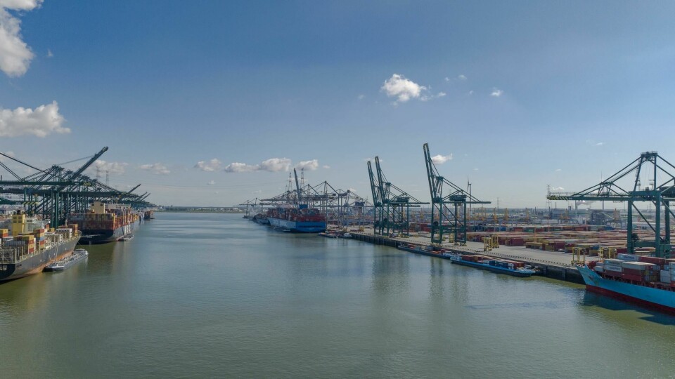 Antwerp Bruges terminals exported more than 613,400 TEUs in 2024 Antwerp Bruges Deurganckdok_2022 21