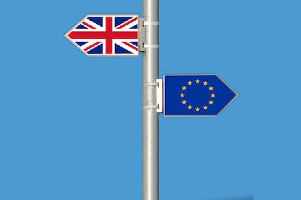 Trade barriers threaten automotive sector after Brexit 268116_brexitflags_752768