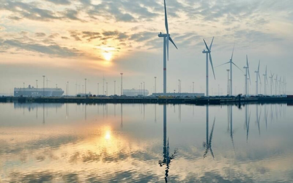 ICO windmills11 wind turbines were installed last year supplying 44MWh of power. ICO_windmolens_Mike Louagie