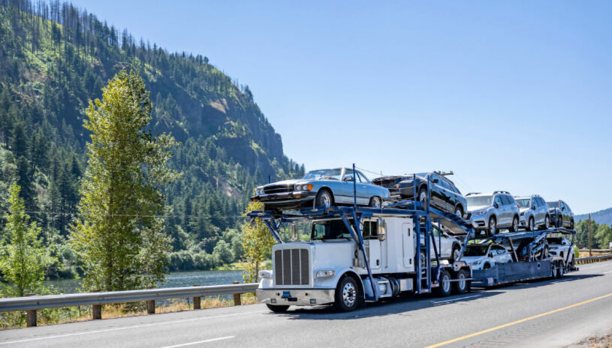 RPM acquires Dealers Choice Auto Transport and PARS, expanding into new markets RPM acquires Dealers Choice Auto Transport and PARS, expanding into new markets