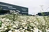 Daimler Truck Global Parts Center Halberstadt
