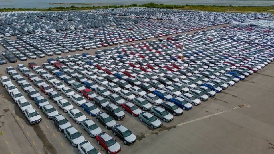 Amports says it handled 294,000 vehicles at its facility in Altamira in CY2024 Amports_Altamira-6